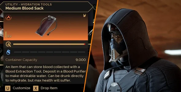 Best Ways to Collect, Purify, and Conserve Water