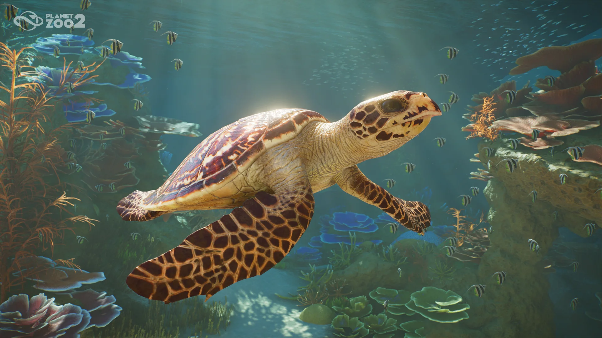 ¡Planet Zoo 2 revelado! Estreno en otoño con nuevas especies y más. 3 Planet Zoo 2 - tortuga marina